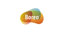 BOREO SISTEMAS DE INFORMATICA logo