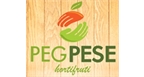 Por dentro da empresa PEG PESE Logo