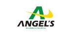 angels vigilancia e segurança Logo