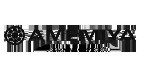 AMEMIYA INDÚSTRIA MECÂNICA Logo