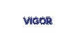 Por dentro da empresa Vigor Logo