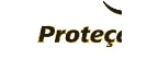 PROTECAO AGUIA Logo