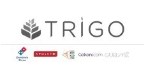 Grupo Trigo Logo
