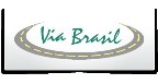 Via Brasil Distribuidora LTDA. Logo