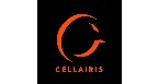 Por dentro da empresa Cellairis Logo