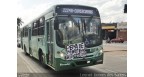 Milênio transportes LTDA Logo