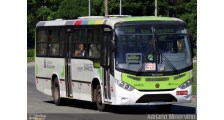 Auto Viação Três Amigos logo