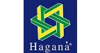 Por dentro da empresa GRUPO HAGANA Logo