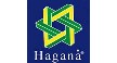 Por dentro da empresa GRUPO HAGANA Logo