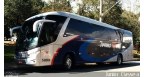 transwolff transporte e turismo ltda Logo