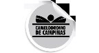 camelodromo Logo
