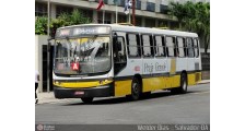 praia grande transportes ltda logo