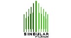 Singular Premium Logo