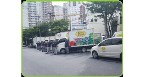 Terra Brasil Horti Fruti LTDA Logo