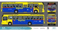 Auto Viação Reginas logo