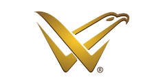 Logo de Villela Brasil