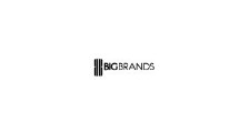 BigBrands logo