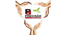 Precisão Serviços logo