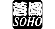 Soho Hair Logo