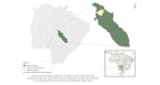 Plano & Plano Construções E Participações Logo