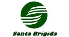 VIAÇÃO SANTA BRÍGIDA Logo