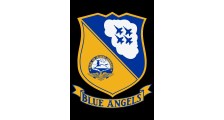 Blue Angels logo