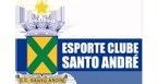 Esporte Clube Santo André Logo